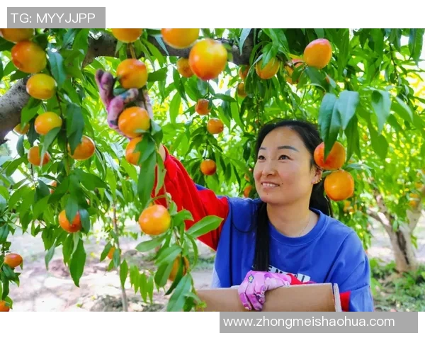 果园采摘体验：亲手采摘新鲜果实，享受自然之美与丰收的乐趣