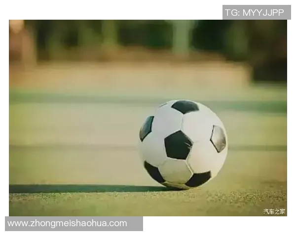 三只羊与足球明星的奇妙冒险之旅探寻友情与梦想的交汇点
